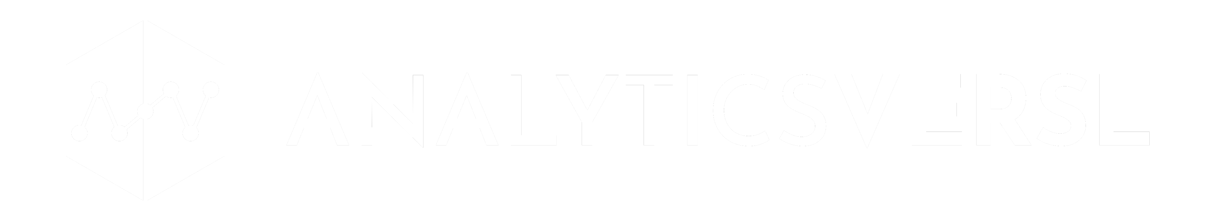 AnalyticsVerse Logo